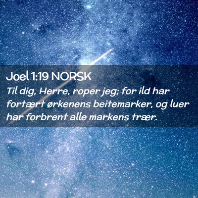 Picture 02 - Joel 1:19 NORSK - Til dig, Herre, roper jeg; for ild har fortært - Bible Verse Picture