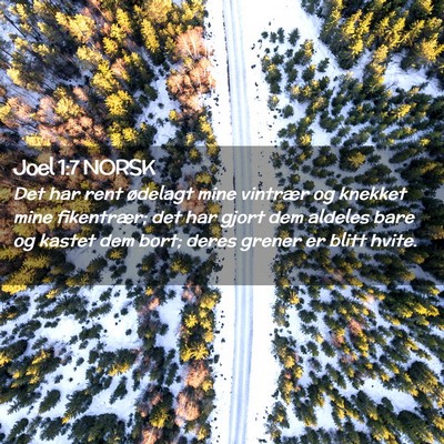 Picture 02 - Joel 1:7 NORSK - Det har rent ødelagt mine vintrær og knekket - Bible Verse Picture