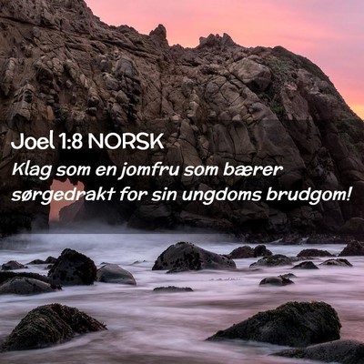 Picture 02 - Joel 1:8 NORSK - Klag som en jomfru som bærer sørgedrakt for sin - Bible Verse Picture