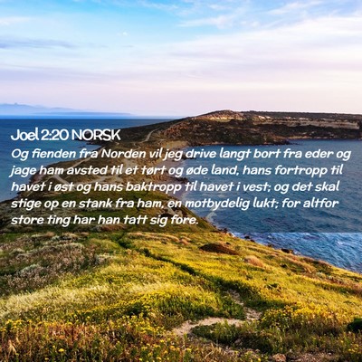 Picture 02 - Joel 2:20 NORSK - Og fienden fra Norden vil jeg drive langt bort - Bible Verse Picture