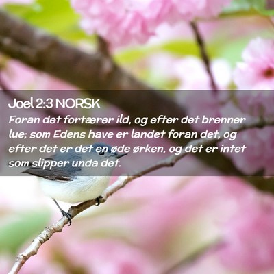 Picture 02 - Joel 2:3 NORSK - Foran det fortærer ild, og efter det brenner - Bible Verse Picture