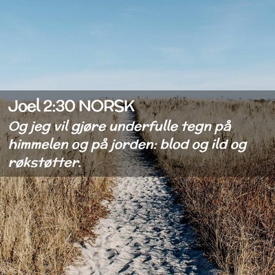 Picture 02 - Joel 2:30 NORSK - Og jeg vil gjøre underfulle tegn på himmelen og - Bible Verse Picture