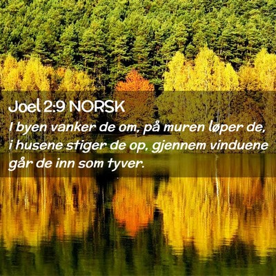 Picture 02 - Joel 2:9 NORSK - I byen vanker de om, på muren løper de, i - Bible Verse Picture