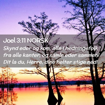 Picture 02 - Joel 3:11 NORSK - Skynd eder og kom, alle I hedningefolk fra alle - Bible Verse Picture