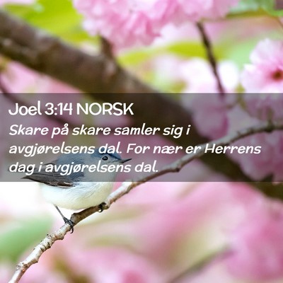 Picture 02 - Joel 3:14 NORSK - Skare på skare samler sig i avgjørelsens dal. - Bible Verse Picture