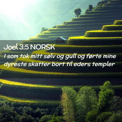 Picture 02 - Joel 3:5 NORSK - I som tok mitt sølv og gull og førte mine - Bible Verse Picture
