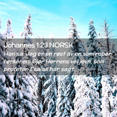 Picture 02 - Johannes 1:23 NORSK - Han sa: Jeg er en røst av en som roper i - Bible Verse Picture