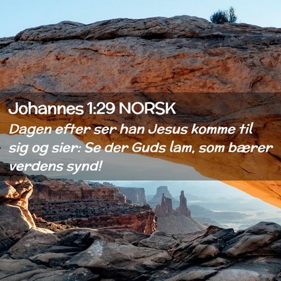 Picture 02 - Johannes 1:29 NORSK - Dagen efter ser han Jesus komme til sig og sier: - Bible Verse Picture