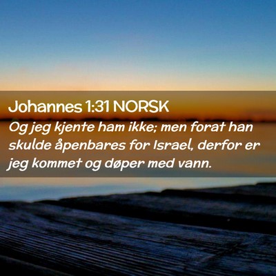 Picture 02 - Johannes 1:31 NORSK - Og jeg kjente ham ikke; men forat han skulde - Bible Verse Picture