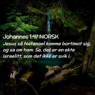 Picture 02 - Johannes 1:47 NORSK - Jesus så Natanael komme bortimot sig, og sa om - Bible Verse Picture