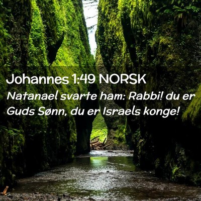 Picture 02 - Johannes 1:49 NORSK - Natanael svarte ham: Rabbi! du er Guds Sønn, du - Bible Verse Picture