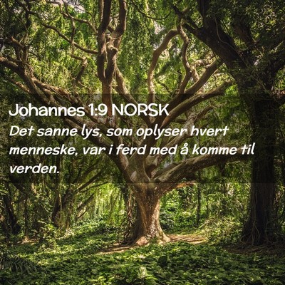 Picture 02 - Johannes 1:9 NORSK - Det sanne lys, som oplyser hvert menneske, var i - Bible Verse Picture