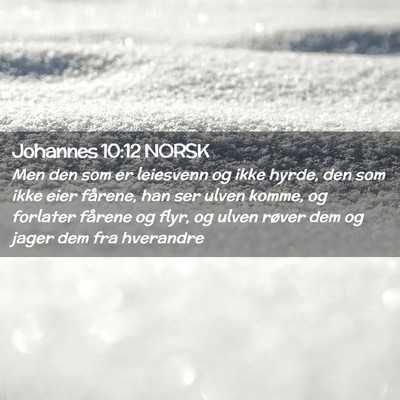 Picture 02 - Johannes 10:12 NORSK - Men den som er leiesvenn og ikke hyrde, den som - Bible Verse Picture