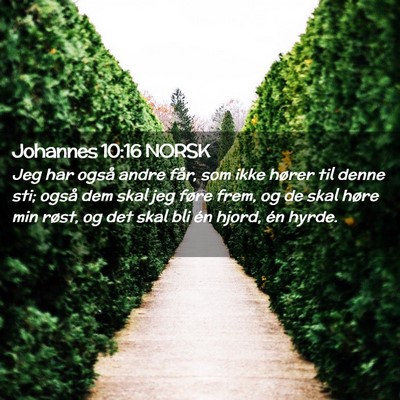 Picture 02 - Johannes 10:16 NORSK - Jeg har også andre får, som ikke hører til - Bible Verse Picture