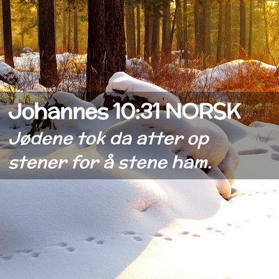 Picture 02 - Johannes 10:31 NORSK - Jødene tok da atter op stener for å stene - Bible Verse Picture