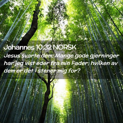 Picture 02 - Johannes 10:32 NORSK - Jesus svarte dem: Mange gode gjerninger har jeg - Bible Verse Picture