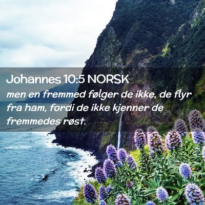 Picture 02 - Johannes 10:5 NORSK - men en fremmed følger de ikke, de flyr fra ham, - Bible Verse Picture