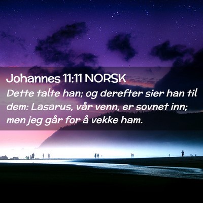 Picture 02 - Johannes 11:11 NORSK - Dette talte han; og derefter sier han til dem: - Bible Verse Picture