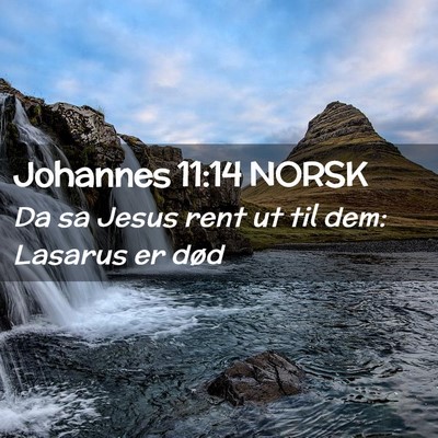 Picture 02 - Johannes 11:14 NORSK - Da sa Jesus rent ut til dem: Lasarus er - Bible Verse Picture