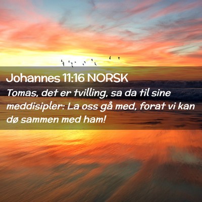 Picture 02 - Johannes 11:16 NORSK - Tomas, det er tvilling, sa da til sine - Bible Verse Picture