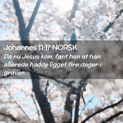 Picture 02 - Johannes 11:17 NORSK - Da nu Jesus kom, fant han at han allerede hadde - Bible Verse Picture