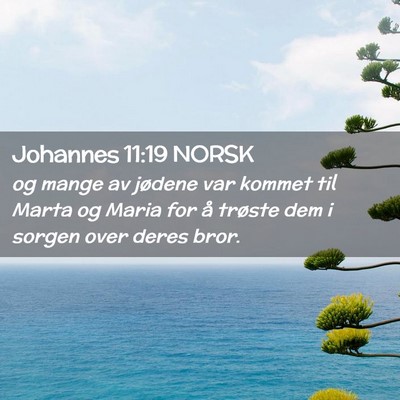 Picture 02 - Johannes 11:19 NORSK - og mange av jødene var kommet til Marta og Maria - Bible Verse Picture