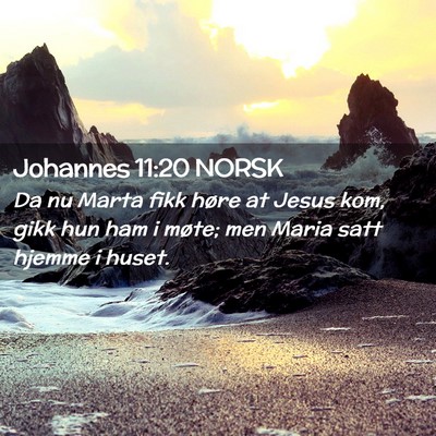 Picture 02 - Johannes 11:20 NORSK - Da nu Marta fikk høre at Jesus kom, gikk hun ham - Bible Verse Picture