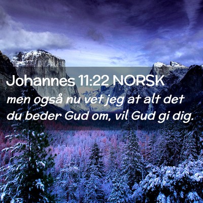 Picture 02 - Johannes 11:22 NORSK - men også nu vet jeg at alt det du beder Gud om, - Bible Verse Picture
