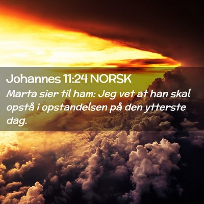 Picture 02 - Johannes 11:24 NORSK - Marta sier til ham: Jeg vet at han skal opstå i - Bible Verse Picture