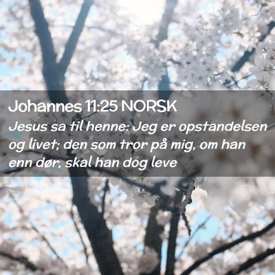 Picture 02 - Johannes 11:25 NORSK - Jesus sa til henne: Jeg er opstandelsen og livet; - Bible Verse Picture