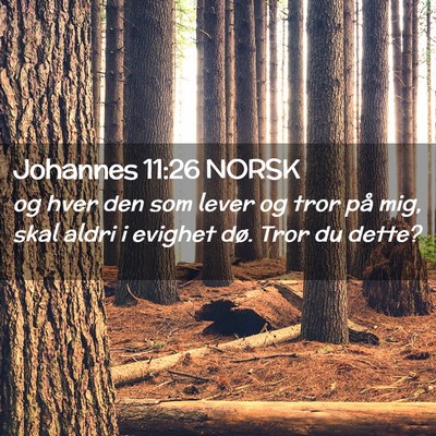 Picture 02 - Johannes 11:26 NORSK - og hver den som lever og tror på mig, skal aldri - Bible Verse Picture