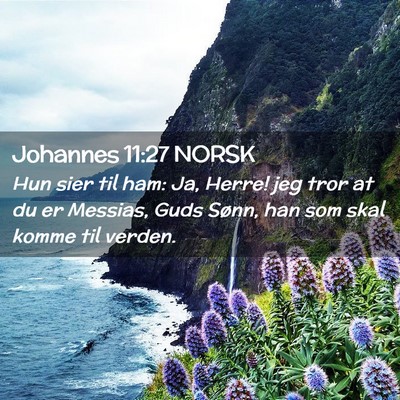 Picture 02 - Johannes 11:27 NORSK - Hun sier til ham: Ja, Herre! jeg tror at du er - Bible Verse Picture