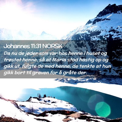 Picture 02 - Johannes 11:31 NORSK - Da nu de jøder som var hos henne i huset og - Bible Verse Picture