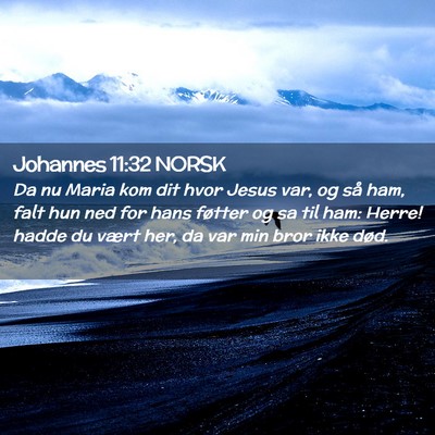 Picture 02 - Johannes 11:32 NORSK - Da nu Maria kom dit hvor Jesus var, og så ham, - Bible Verse Picture