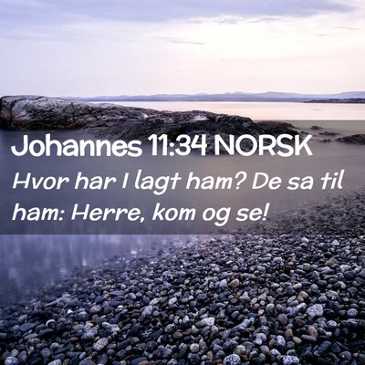 Picture 02 - Johannes 11:34 NORSK - Hvor har I lagt ham? De sa til ham: Herre, kom og - Bible Verse Picture