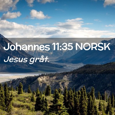 Picture 02 - Johannes 11:35 NORSK - Jesus - Bible Verse Picture