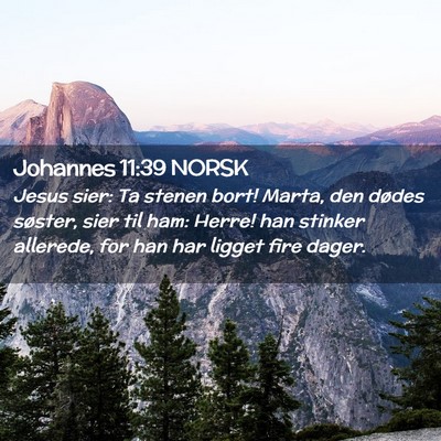Picture 02 - Johannes 11:39 NORSK - Jesus sier: Ta stenen bort! Marta, den dødes - Bible Verse Picture