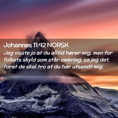 Picture 02 - Johannes 11:42 NORSK - Jeg visste jo at du alltid hører mig, men for - Bible Verse Picture