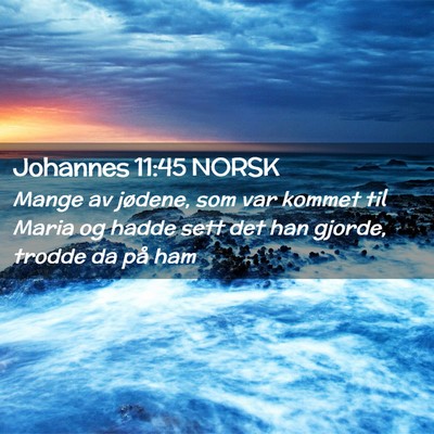 Picture 02 - Johannes 11:45 NORSK - Mange av jødene, som var kommet til Maria og - Bible Verse Picture