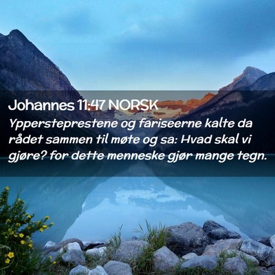 Picture 02 - Johannes 11:47 NORSK - Yppersteprestene og fariseerne kalte da rådet - Bible Verse Picture