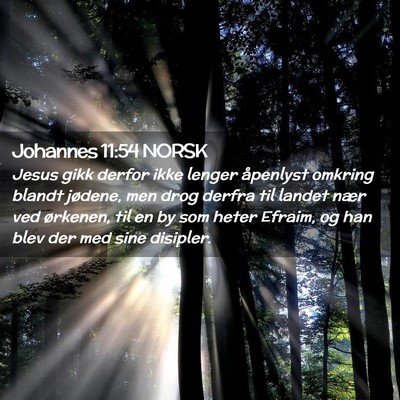 Picture 02 - Johannes 11:54 NORSK - Jesus gikk derfor ikke lenger åpenlyst omkring - Bible Verse Picture