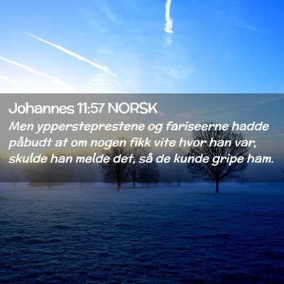Picture 02 - Johannes 11:57 NORSK - Men yppersteprestene og fariseerne hadde påbudt - Bible Verse Picture
