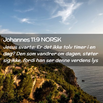 Picture 02 - Johannes 11:9 NORSK - Jesus svarte: Er det ikke tolv timer i en dag? - Bible Verse Picture