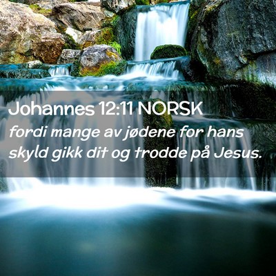 Picture 02 - Johannes 12:11 NORSK - fordi mange av jødene for hans skyld gikk dit og - Bible Verse Picture