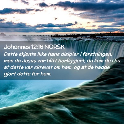 Picture 02 - Johannes 12:16 NORSK - Dette skjønte ikke hans disipler i førstningen; - Bible Verse Picture