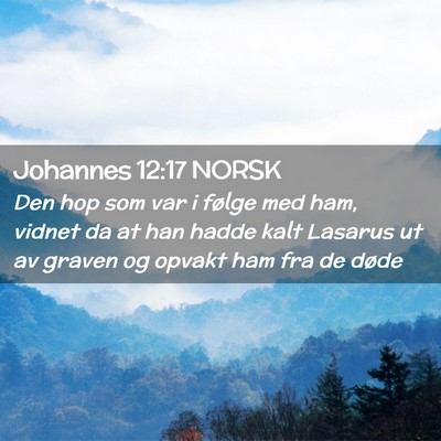 Picture 02 - Johannes 12:17 NORSK - Den hop som var i følge med ham, vidnet da at - Bible Verse Picture