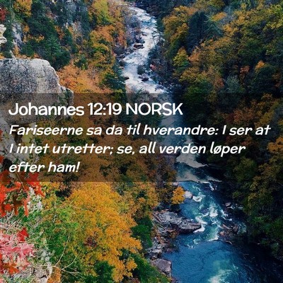 Picture 02 - Johannes 12:19 NORSK - Fariseerne sa da til hverandre: I ser at I intet - Bible Verse Picture