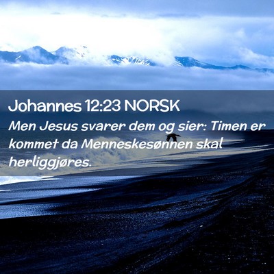 Picture 02 - Johannes 12:23 NORSK - Men Jesus svarer dem og sier: Timen er kommet da - Bible Verse Picture