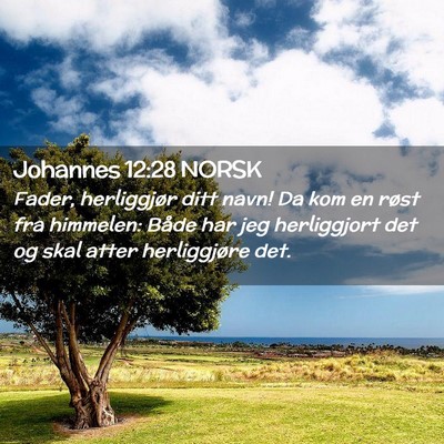 Picture 02 - Johannes 12:28 NORSK - Fader, herliggjør ditt navn! Da kom en røst fra - Bible Verse Picture