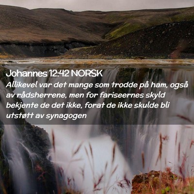 Picture 02 - Johannes 12:42 NORSK - Allikevel var det mange som trodde på ham, også - Bible Verse Picture